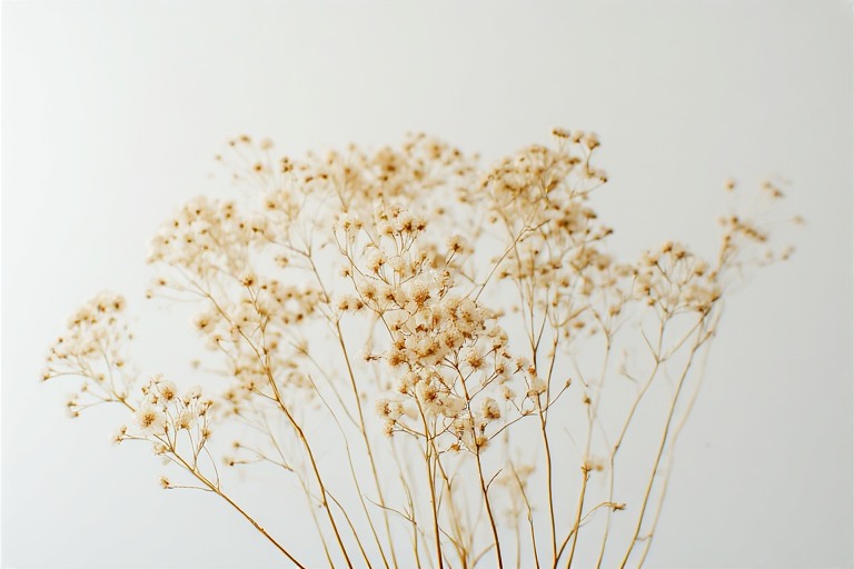 Ritual Kreatif Kecil yang Membuat Pagi Lebih Ceria